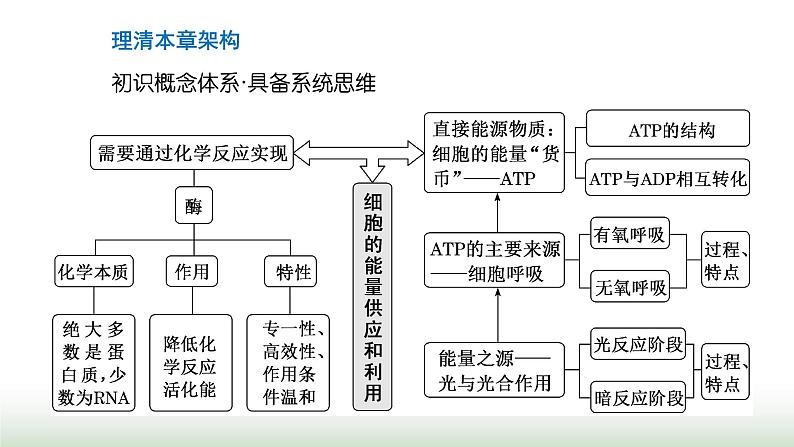 人教版高中生物必修1第5章细胞的能量供应和利用第1节第1课时酶的作用和本质课件第3页