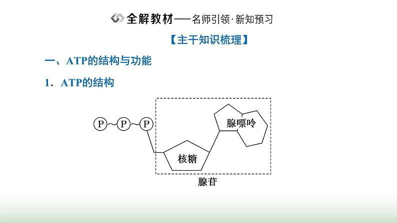 人教版高中生物必修1第5章细胞的能量供应和利用第2节细胞的能量“货币”ATP课件第2页