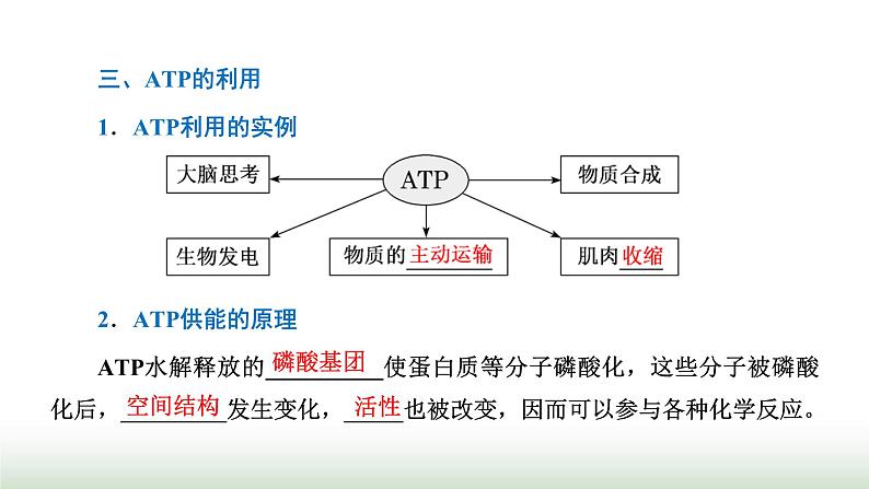 人教版高中生物必修1第5章细胞的能量供应和利用第2节细胞的能量“货币”ATP课件第7页