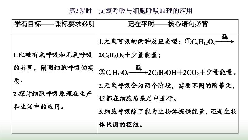 人教版高中生物必修1第5章细胞的能量供应和利用第3节第2课时无氧呼吸与细胞呼吸原理的应用课件第1页