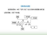 人教版高中生物必修1第5章细胞的能量供应和利用第3节第2课时无氧呼吸与细胞呼吸原理的应用课件