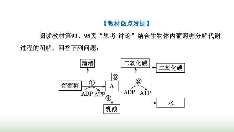 人教版高中生物必修1第5章细胞的能量供应和利用第3节第2课时无氧呼吸与细胞呼吸原理的应用课件第5页