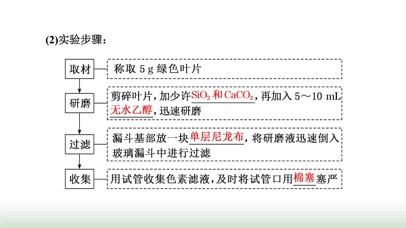 人教版高中生物必修1第5章细胞的能量供应和利用第4节第1课时捕获光能的色素和结构课件第4页