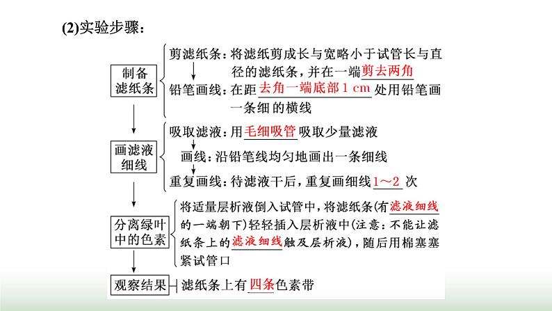 人教版高中生物必修1第5章细胞的能量供应和利用第4节第1课时捕获光能的色素和结构课件第6页