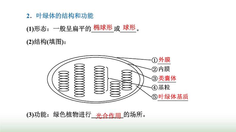 人教版高中生物必修1第5章细胞的能量供应和利用第4节第1课时捕获光能的色素和结构课件第8页