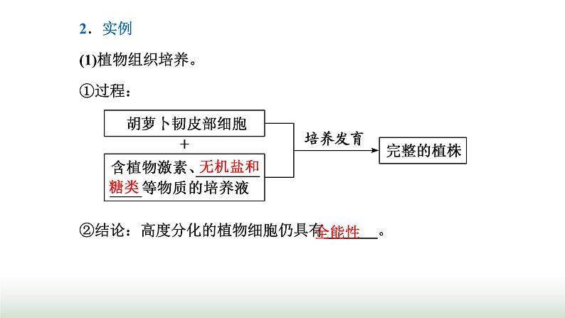 人教版高中生物必修1第6章细胞的生命历程第2节细胞的分化课件06