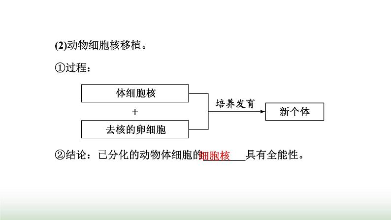 人教版高中生物必修1第6章细胞的生命历程第2节细胞的分化课件07