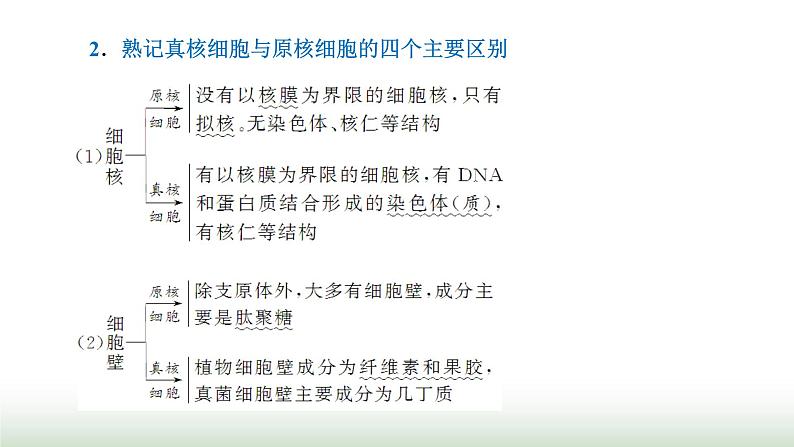 人教版高中生物必修1学业水平考试常考点第1～2章走近细胞和组成细胞的分子课件02