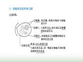 人教版高中生物必修1学业水平考试常考点第3章细胞的基本结构课件
