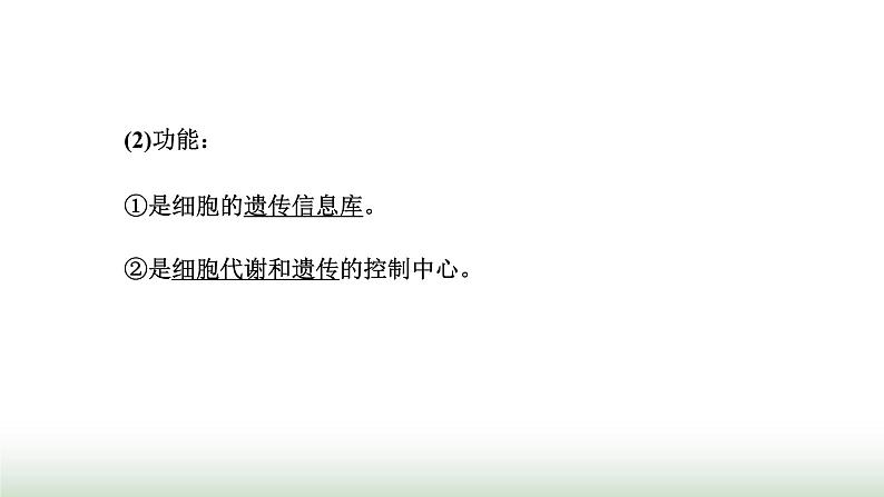 人教版高中生物必修1学业水平考试常考点第3章细胞的基本结构课件04