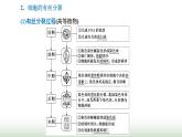 人教版高中生物必修1学业水平考试常考点第6章细胞的生命历程课件