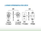 人教版高中生物必修1学业水平考试常考点第6章细胞的生命历程课件