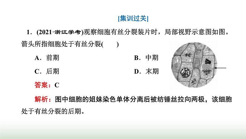 人教版高中生物必修1学业水平考试常考点第6章细胞的生命历程课件04