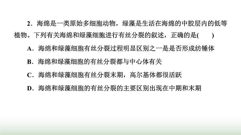 人教版高中生物必修1学业水平考试常考点第6章细胞的生命历程课件05