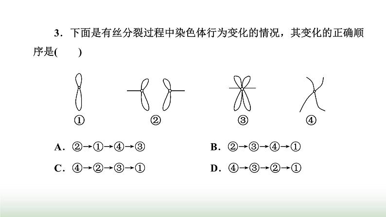 人教版高中生物必修1学业水平考试常考点第6章细胞的生命历程课件07