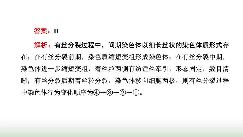 人教版高中生物必修1学业水平考试常考点第6章细胞的生命历程课件08