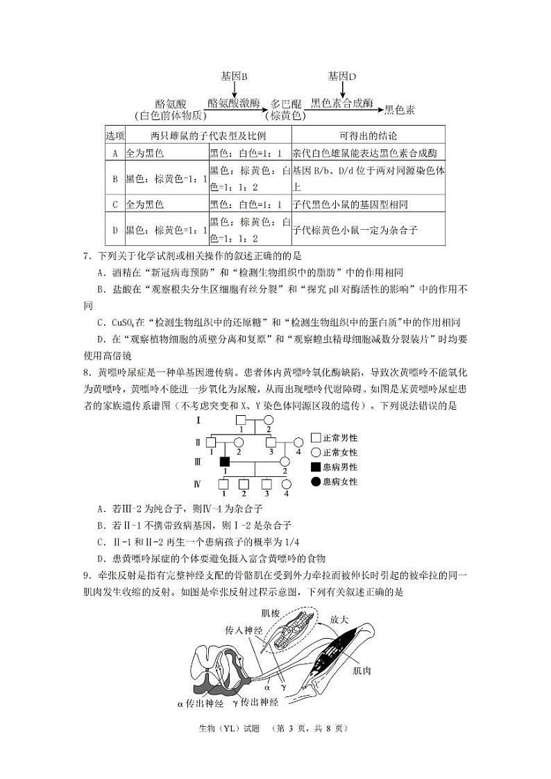 2024届湖南省长沙市雅礼中学高三3月综合测试（一）生物试题第3页