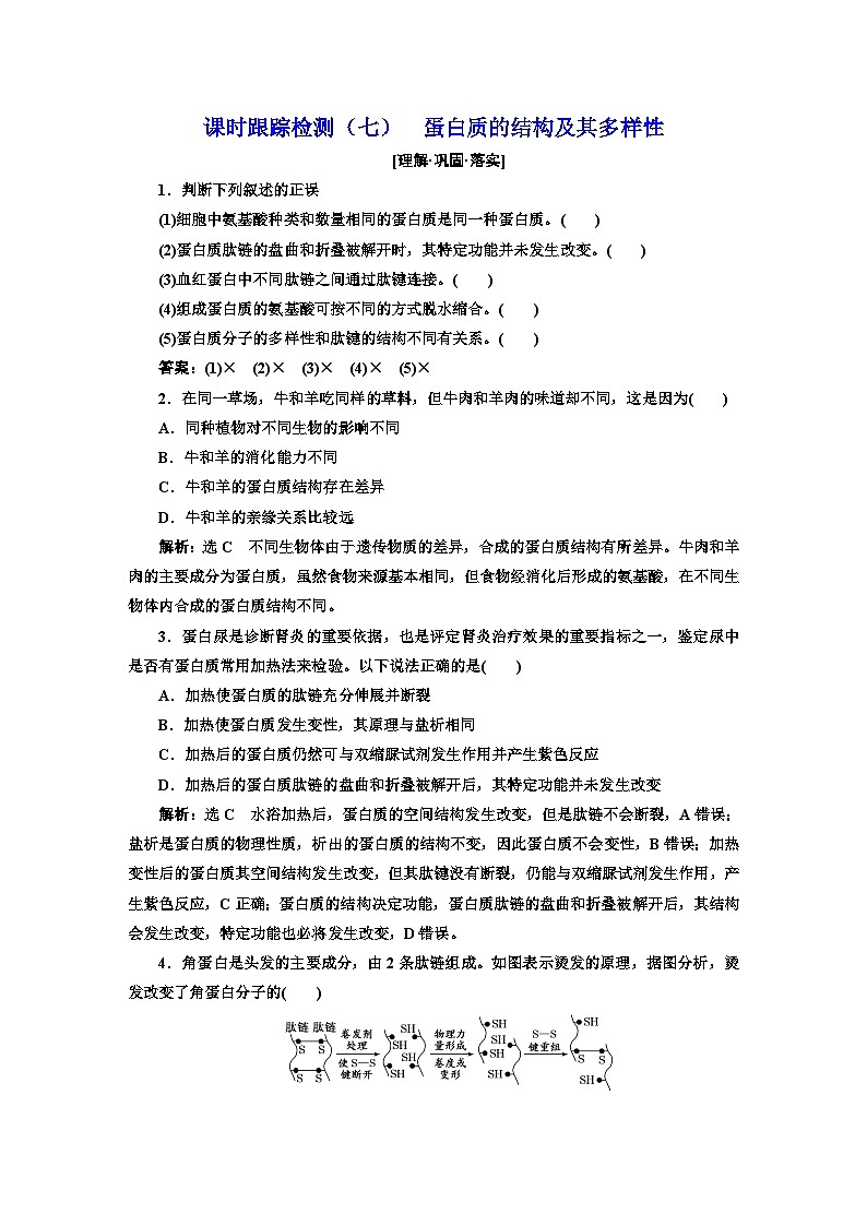 人教版高中生物必修1课时跟踪检测（七）蛋白质的结构及其多样性含答案第1页