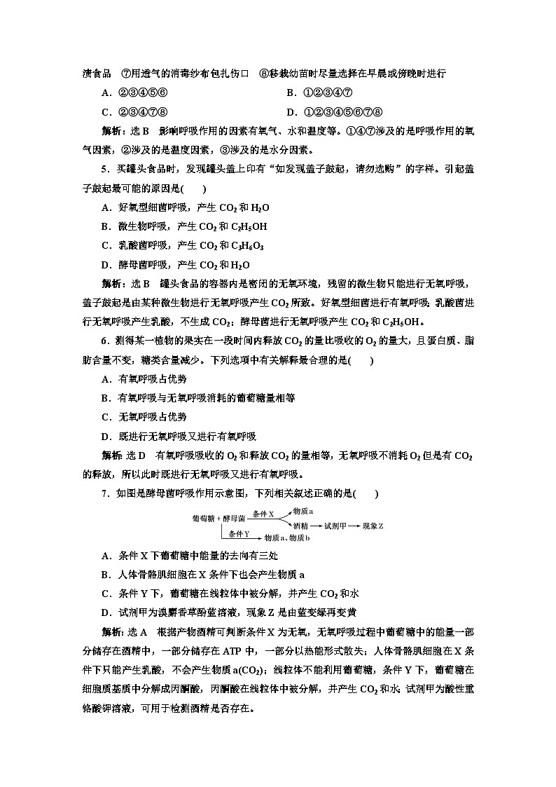 人教版高中生物必修1课时跟踪检测（二十）无氧呼吸与细胞呼吸原理的应用含答案02