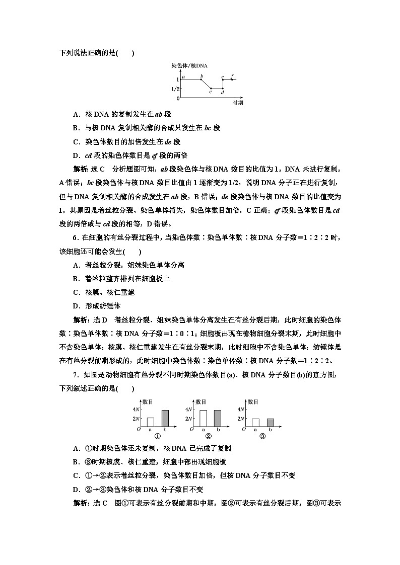 人教版高中生物必修1课时跟踪检测（二十四）细胞周期与植物细胞的有丝分裂含答案02