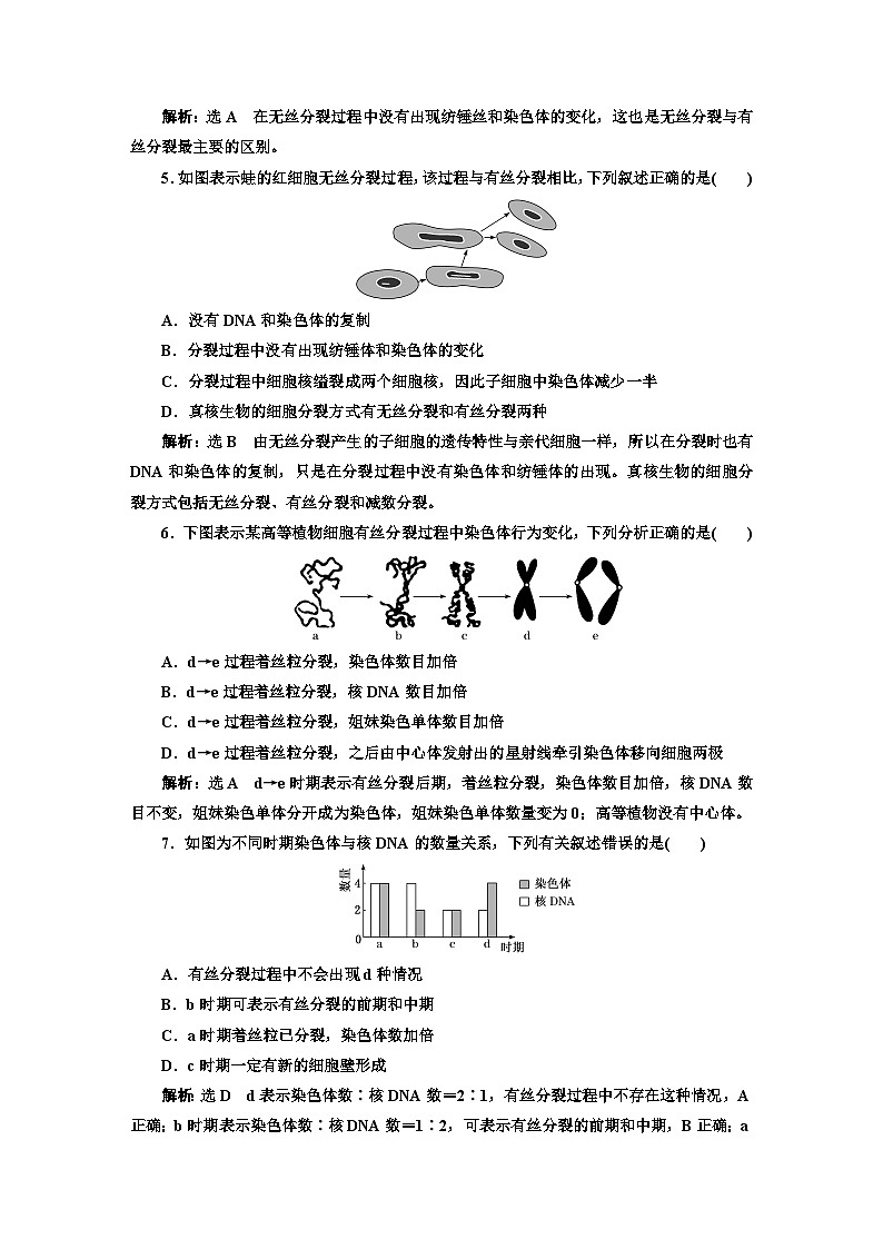 人教版高中生物必修1课时跟踪检测（二十五）动物细胞的有丝分裂与观察根尖分生区组织细胞的有丝分裂含答案02