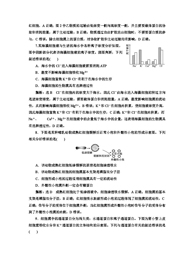 人教版高中生物必修1阶段验收测试（三）细胞的物质输入和输出含答案03