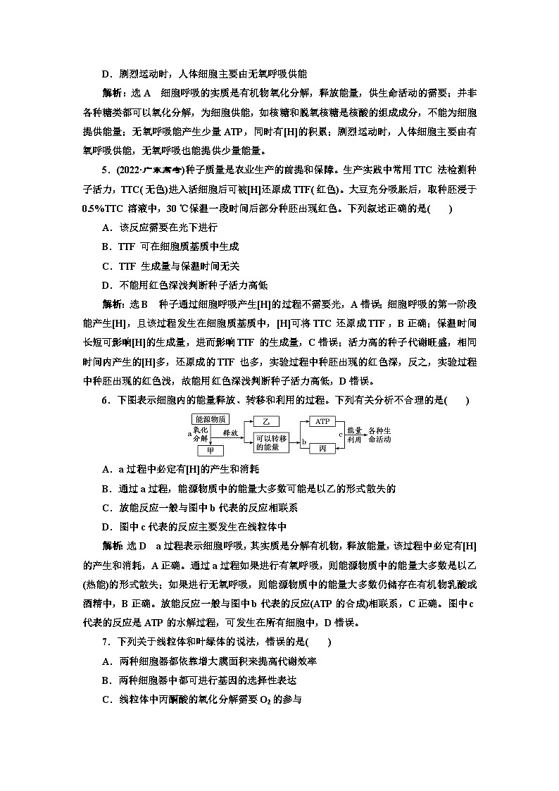 人教版高中生物必修1阶段验收测试（四）细胞的能量供应和利用含答案02