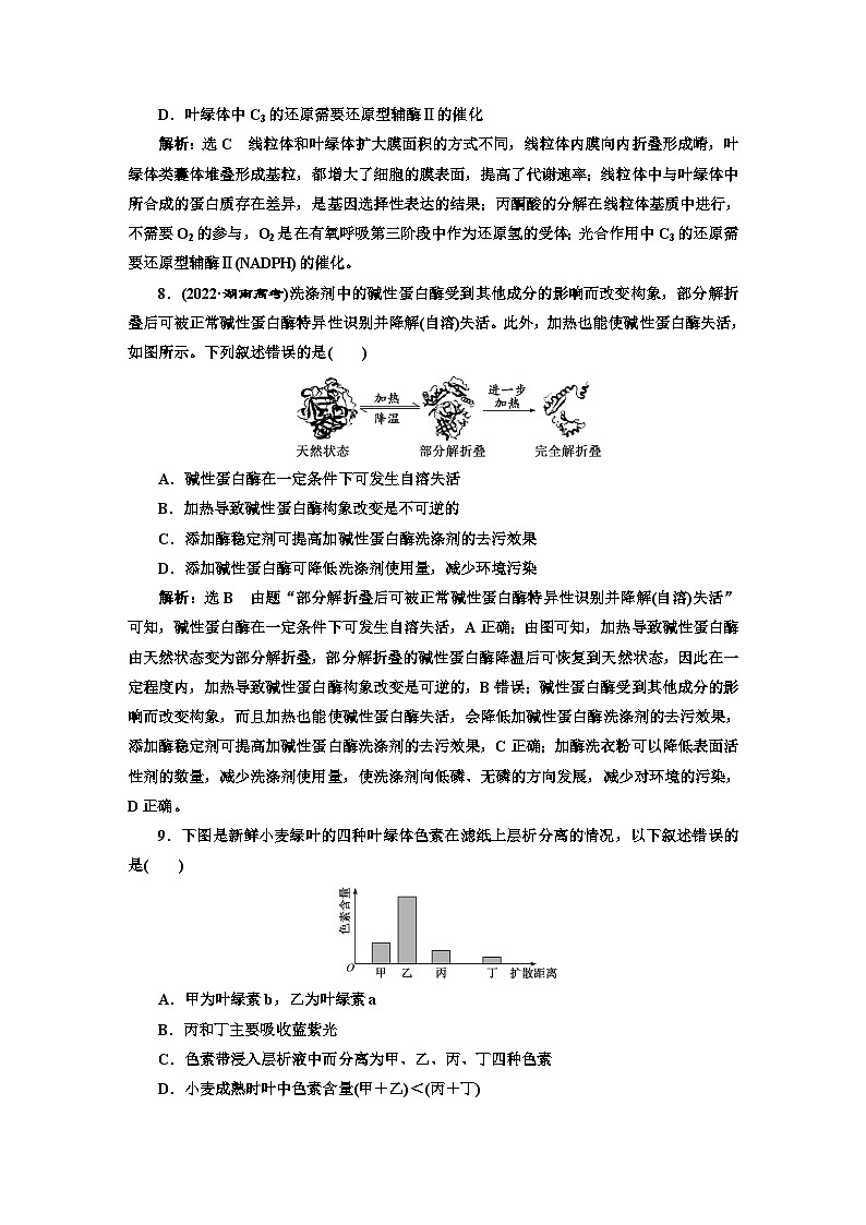 人教版高中生物必修1阶段验收测试（四）细胞的能量供应和利用含答案03