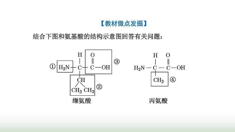 人教版高中生物必修1第2章组成细胞的分子第4节第1课时蛋白质的功能及其结构单位课件05