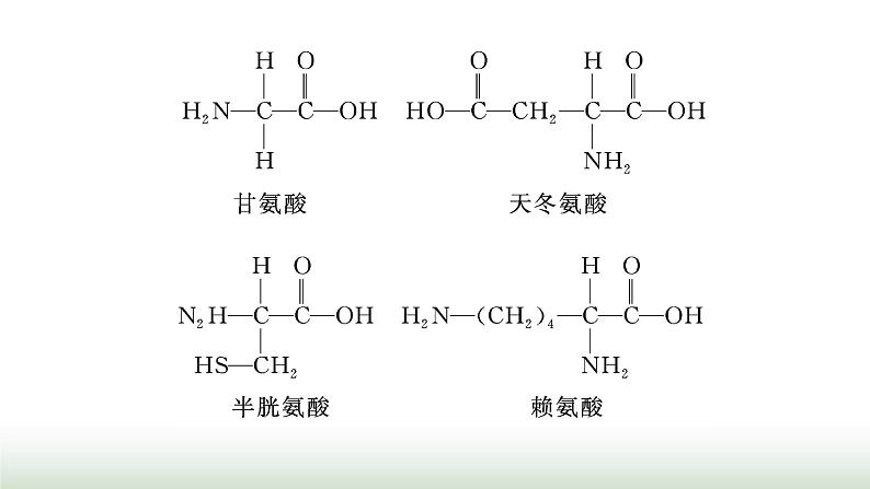 人教版高中生物必修1第2章组成细胞的分子第4节第1课时蛋白质的功能及其结构单位课件06