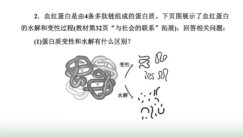 人教版高中生物必修1第2章组成细胞的分子第4节第2课时蛋白质的结构及其多样性课件第7页