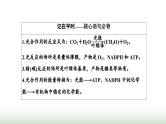 人教版高中生物必修1第5章细胞的能量供应和利用第4节第2课时光合作用的原理课件