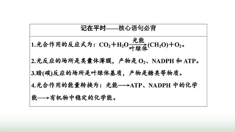 人教版高中生物必修1第5章细胞的能量供应和利用第4节第2课时光合作用的原理课件第2页