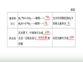 人教版高中生物必修1第5章细胞的能量供应和利用第4节第2课时光合作用的原理课件
