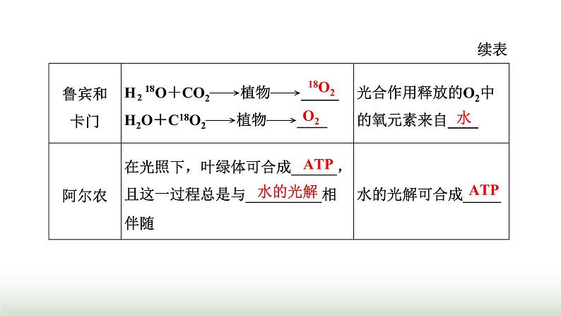 人教版高中生物必修1第5章细胞的能量供应和利用第4节第2课时光合作用的原理课件第5页