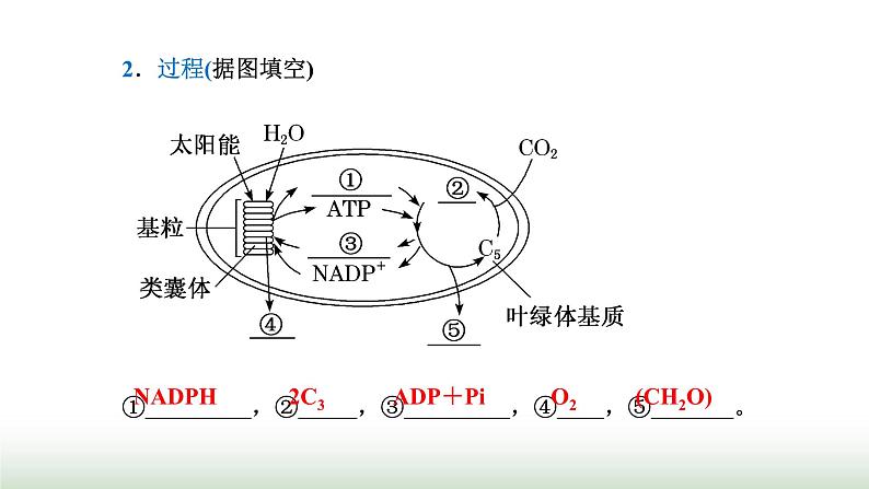 人教版高中生物必修1第5章细胞的能量供应和利用第4节第2课时光合作用的原理课件第7页