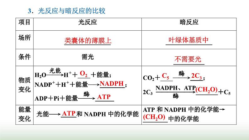 人教版高中生物必修1第5章细胞的能量供应和利用第4节第2课时光合作用的原理课件第8页