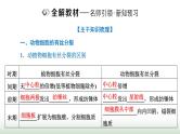 人教版高中生物必修1第6章细胞的生命历程第1节第2课时动物细胞的有丝分裂与观察根尖分生区组织细胞的课件
