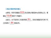 人教版高中生物必修1第6章细胞的生命历程第1节第2课时动物细胞的有丝分裂与观察根尖分生区组织细胞的课件
