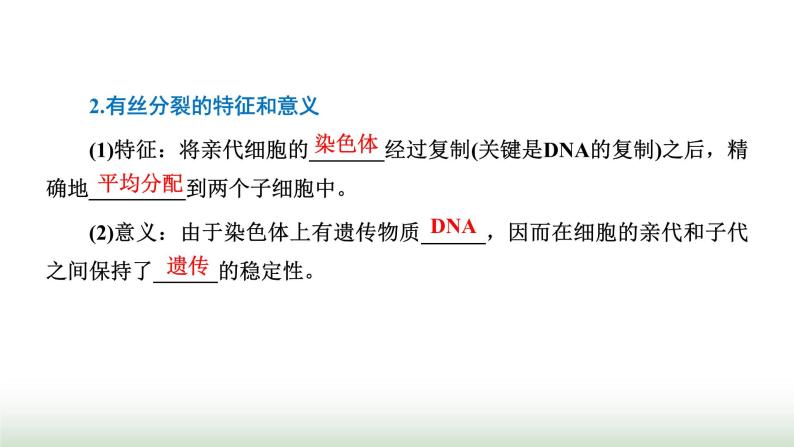 人教版高中生物必修1第6章细胞的生命历程第1节第2课时动物细胞的有丝分裂与观察根尖分生区组织细胞的课件03