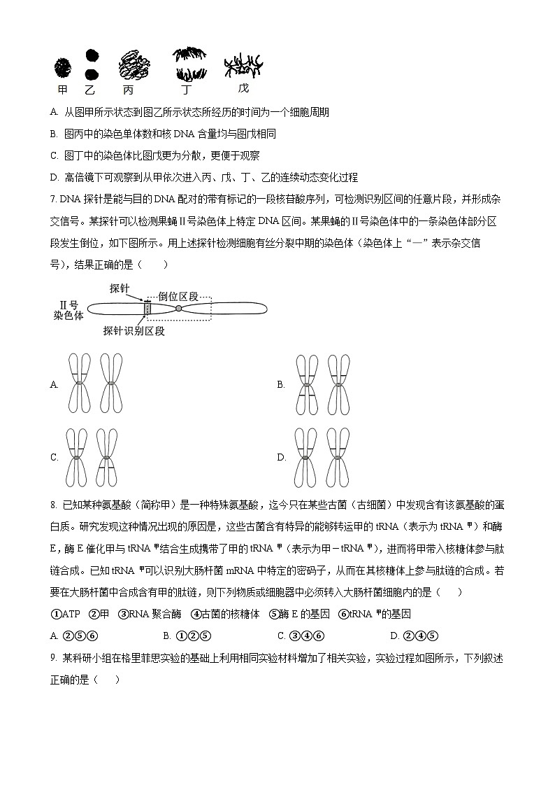 精品解析：浙江省五校联盟2023-2024学年高三下学期3月月考生物试题（原卷版）第2页