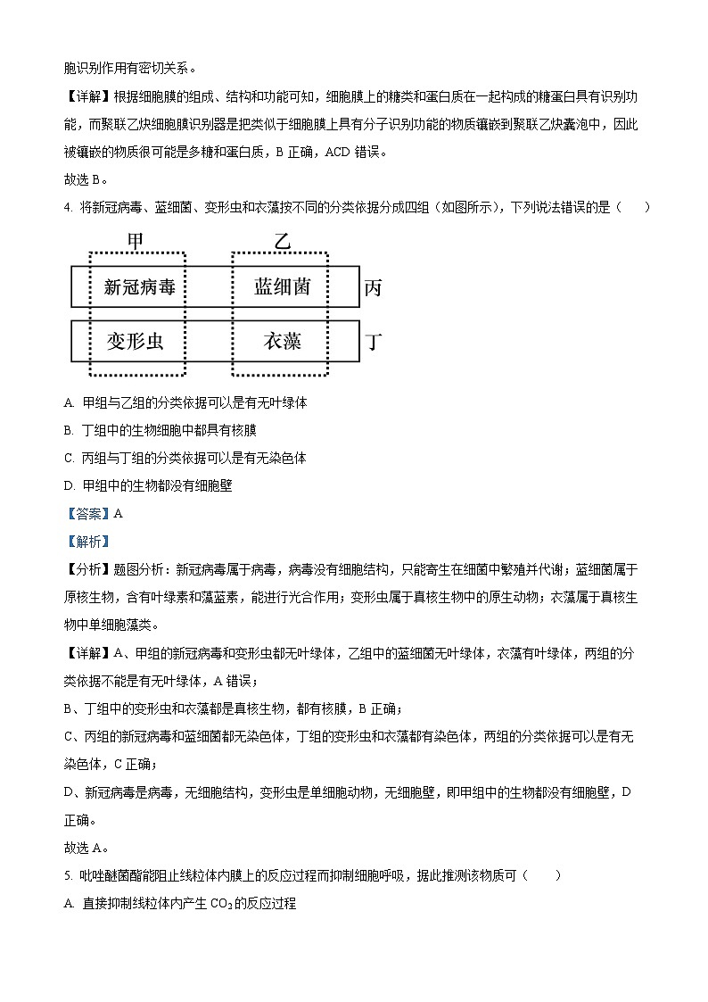 精品解析：浙江省五校联盟2023-2024学年高三下学期3月月考生物试题（解析版）第2页