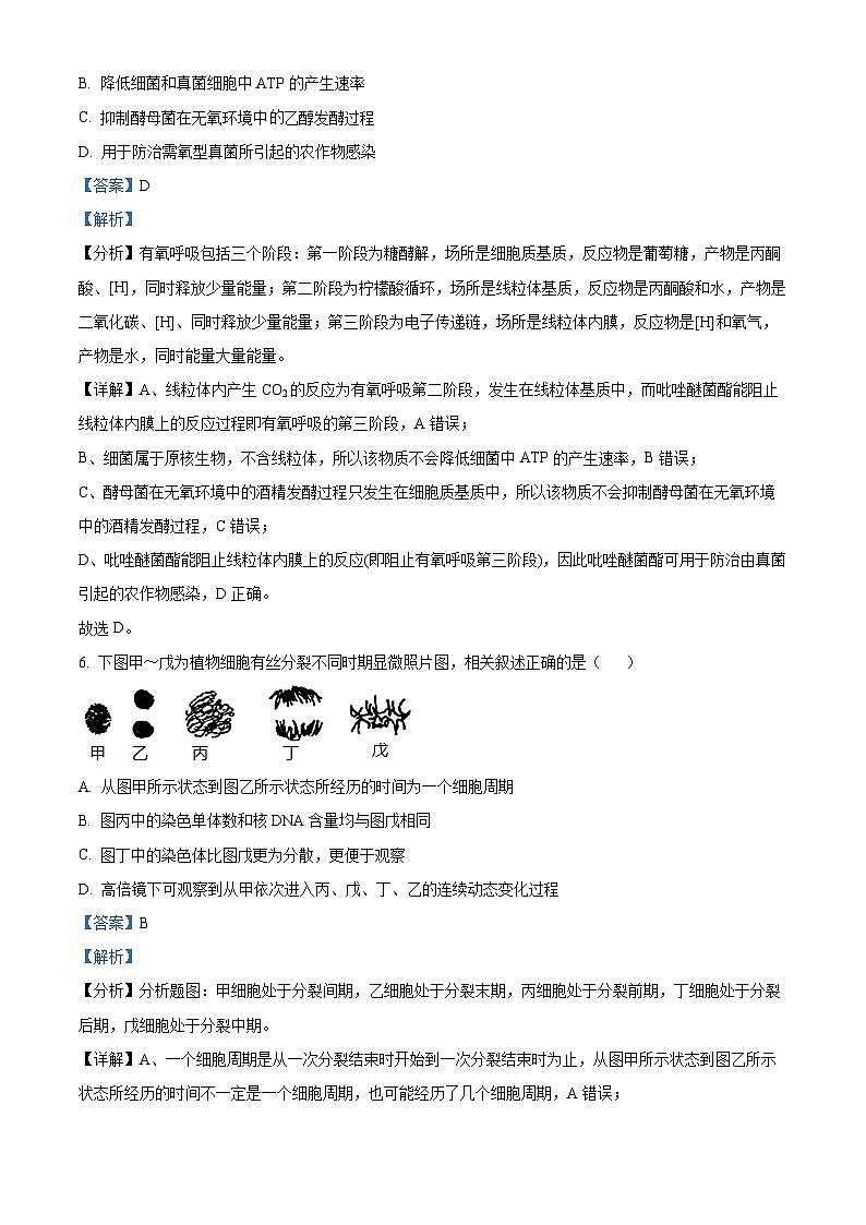 精品解析：浙江省五校联盟2023-2024学年高三下学期3月月考生物试题（解析版）第3页