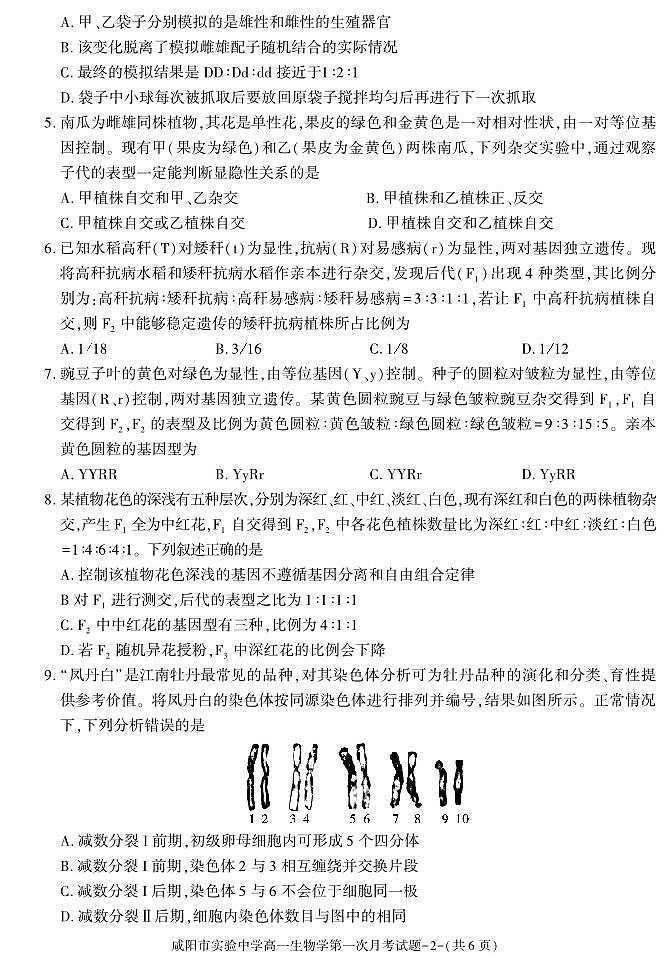 生物-陕西省咸阳市实验中学2023-2024学年高一下学期第一次月考02