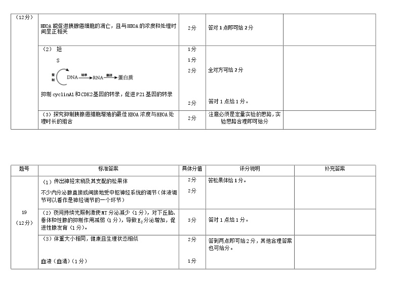 广东省韶关市2024届高三下学期综合测试（二）（韶关二模）生物02
