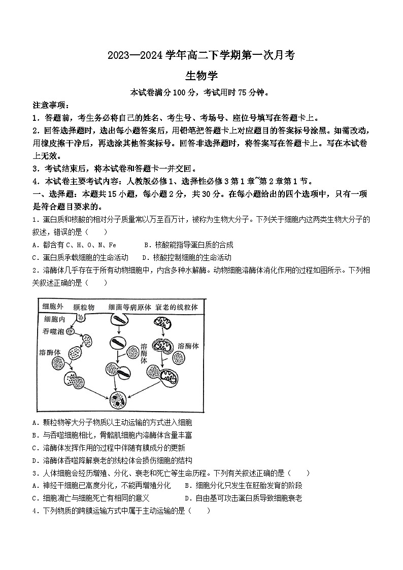 河南省创新发展联盟2023-2024学年高二下学期3月月考生物试题01