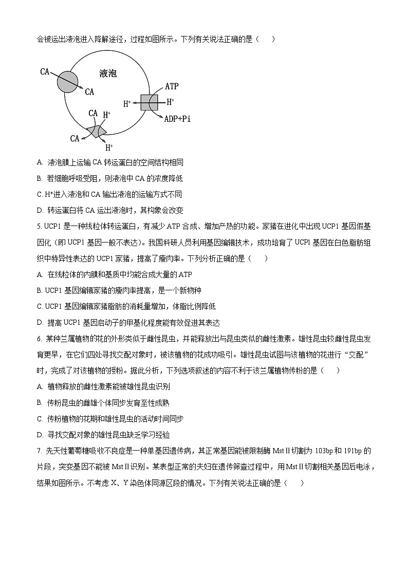 精品解析：2024届贵州省安顺市部分学校高三下学期模拟考试生物试题（原卷版）第2页