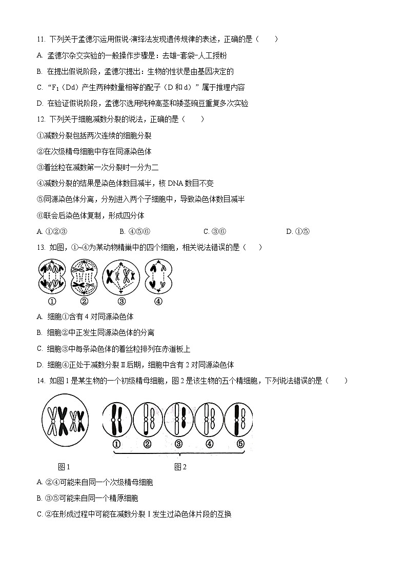 精品解析：吉林省辉南县第六中学2023-2024学年高一下学期3月半月考生物试卷（原卷版）第3页