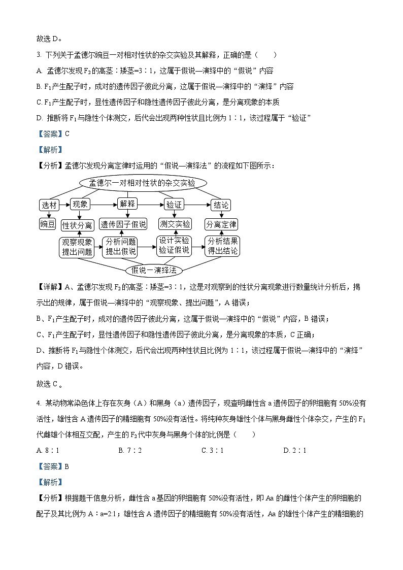 精品解析：吉林省辉南县第六中学2023-2024学年高一下学期3月半月考生物试卷（解析版）第2页