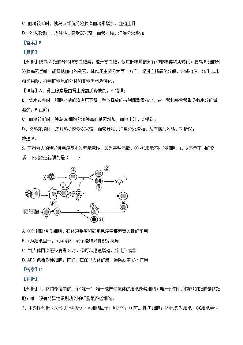 江苏省镇江市六校联考2023-2024学年高二下学期3月月考生物试题（原卷版+解析版）03